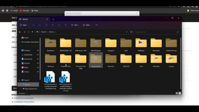 java -Orecle 8 how to download and install #dula_yapa #2023 #install #oracle смотреть онлайн