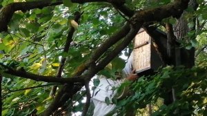 Ловля бродячих роёв. Часть вторая 2021г.