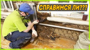 Что нам преподносит СТАРЫЙ ДОМ В ДЕРЕВНЕ. Деревенский рынок от фермеров. [Жизнь в деревне]