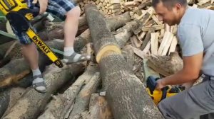 Dewalt DCCS672 vs DCCS670 - DCM575 Chainsaw Dewalt Цепна  пила Деволт