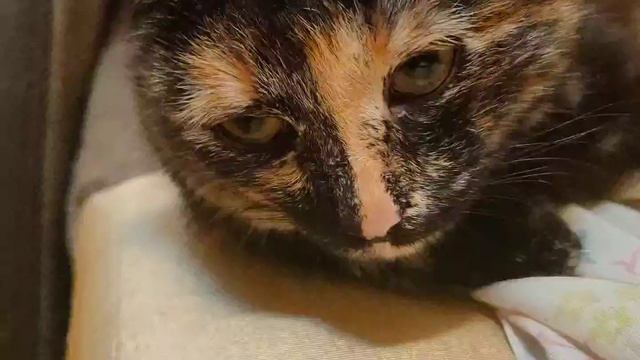 что было уже не вернуть те времена и те моменты хотя очень жаль смотреть онлайн