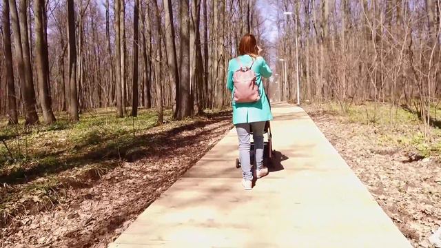 Russia. Tatarstan. Kazan. Gorkinsko-Ometevsky Forest. смотреть онлайн