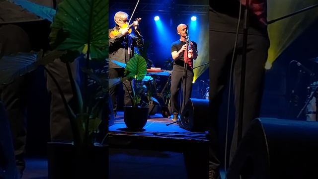 БГ+ в Будапеште 25.03.24 - День Радости смотреть онлайн