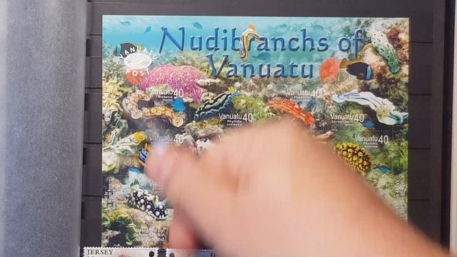 Фауна. Морской альбом ч.2 смотреть онлайн