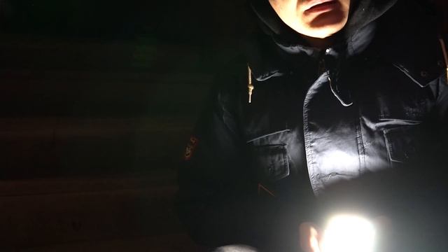 СТРАШНАЯ НОЧЬ В ЗАМКЕ ШЕНБОРНОВ 2 *сняли призрака?!* смотреть онлайн