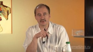 Роль бактерий в природе и жизни человека. Видеоурок по биологии 5 класс