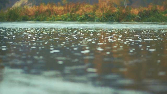 Binaural Soundscape by the River (Rain Under Umbrella) in 4K - Long Version смотреть онлайн