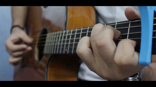 Celine Dion - My Heart Will Go On || Fingerstyle Guitar Cover смотреть онлайн