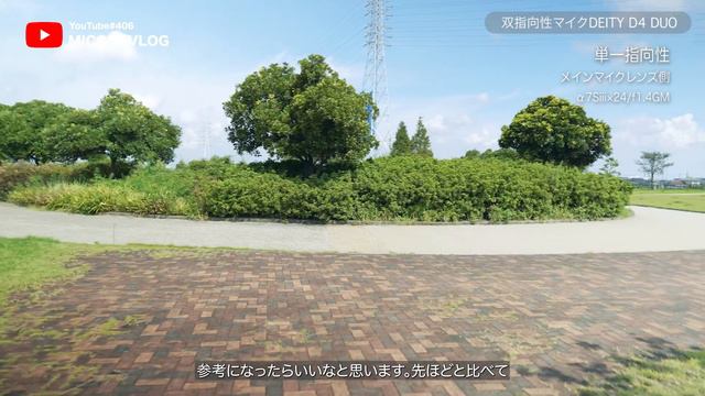 【DEITY V-Mic D4 DUO】これで音声死角無し！カメラ用デュアルマイクロフォン！【MicchiVlog/406】 смотреть онлайн