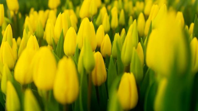 Лучшая музыка для снятия усталости! Музыка для души, которую хочется слышать снова и снова смотреть онлайн