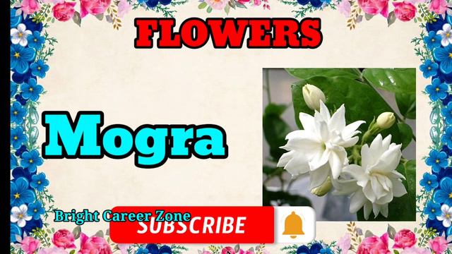 Name Of Flowers In English With Spelling l Learn Flowers Name l Recognise The Flowers 🌺 смотреть онлайн
