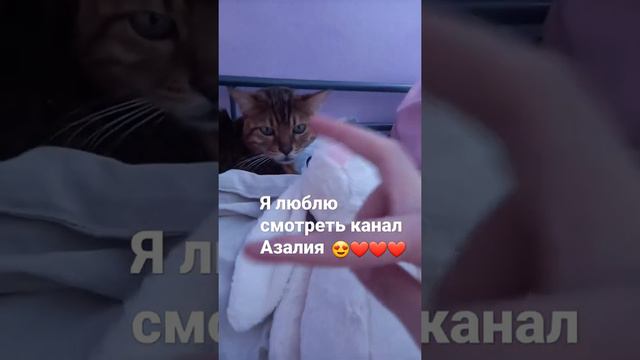 привет Азалия смотреть онлайн