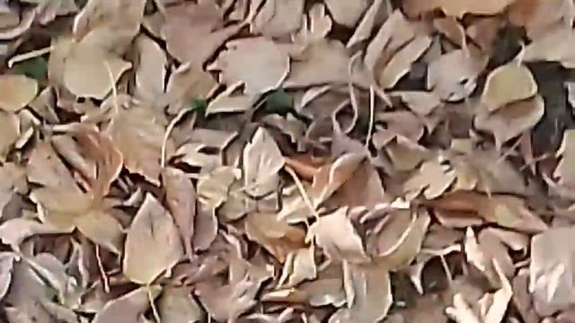 Блютуз колонка с громким звуком смотреть онлайн