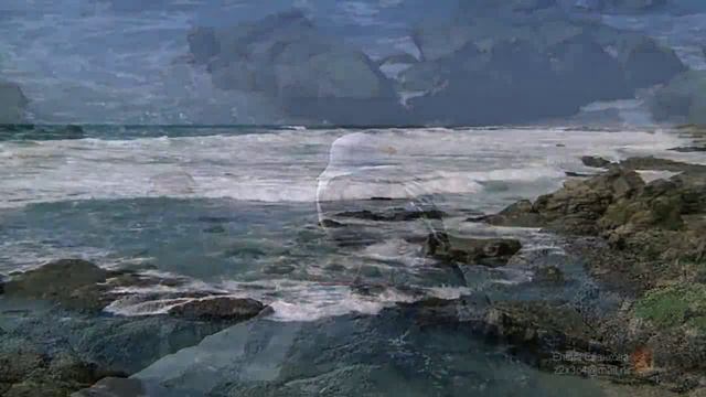 Бесаме мучо. ( Кавер) Видео.