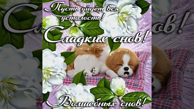 Спокойной ночи ? Приятных снов ??? До завтра ???