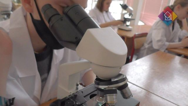 Медицинский мастеркласс в школе №1329