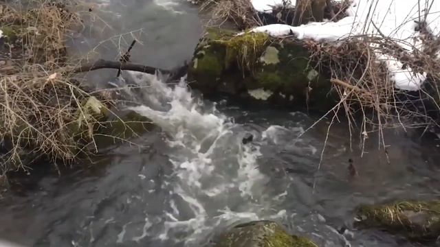 ВОЛКИ остервенело РЫЛИ снег, пытаясь добраться до людей. Счет шел на минуты! смотреть онлайн