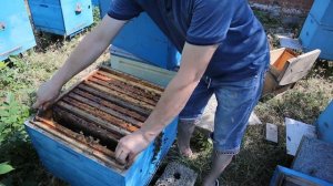 Как и когда подставлять вощину.