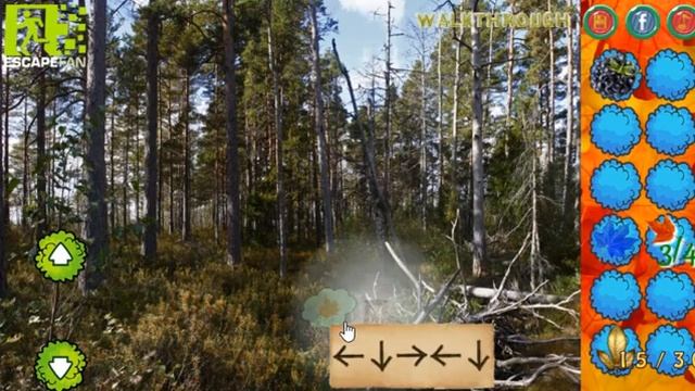 Magical Autumn Forest Walkthrough [EscapeFan] смотреть онлайн