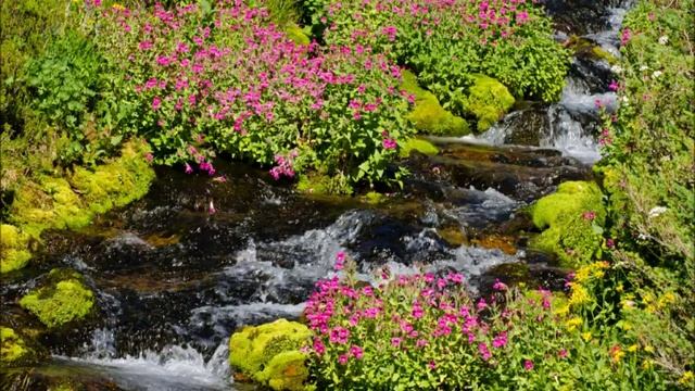 Relaxing Woodwind Music - Tranquil Water Sounds - Flute, Clarinet, Oboe, Bassoon, Guitar,