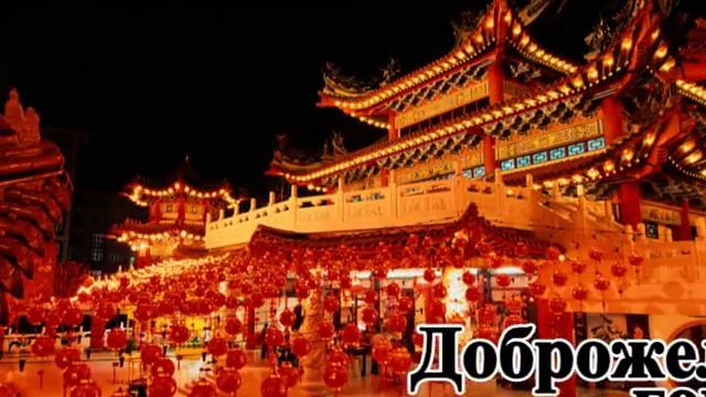 Волгоград - город, доброжелательный к детям смотреть онлайн