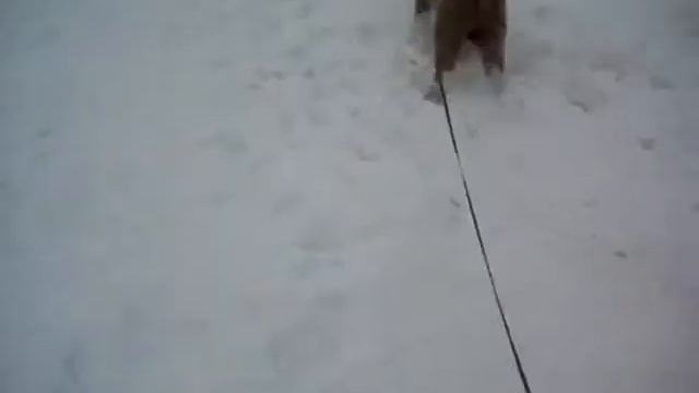 Боря зимой смотреть онлайн