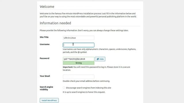 How to Install WordPress on CPanel смотреть онлайн