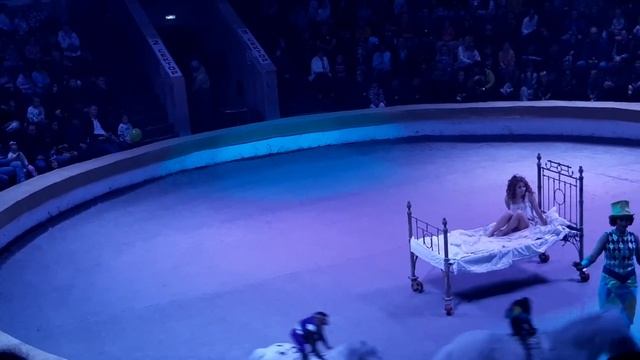 ЦИРК//ОБЕЗЬЯНЫ-КАПУЦИНЫ НА ЛОШАДЯХ смотреть онлайн