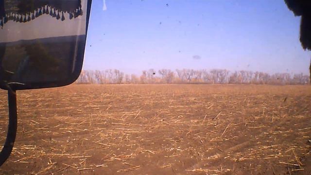 дискую подсолнух юмз 6 2019 смотреть онлайн