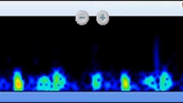 T3gallop смотреть онлайн