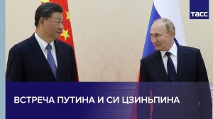 Встреча Путина и Си Цзиньпина