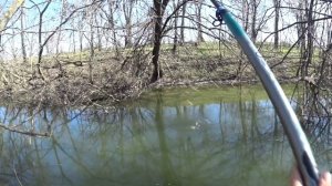 ПЛОТВА ВЕСНОЙ на ПОПЛАВОК!! РЫБАЛКА на МИКРО РЕЧКЕ!! НАЛОВИЛ ПЛОТВЫ!! ПОПЛАВОЧЕК!!