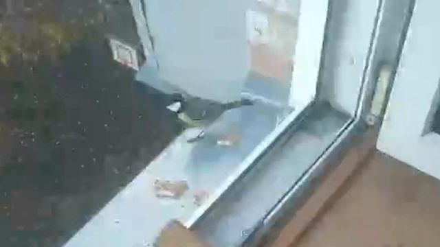 Синичка унесла целую печеньку!