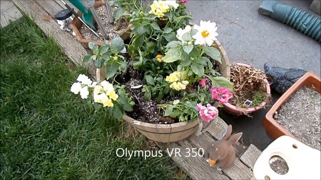 Comparison смотреть онлайн