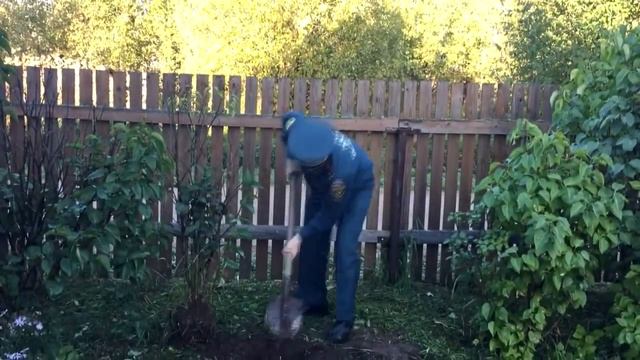 Эстафета добра_ посадка деревьев смотреть онлайн