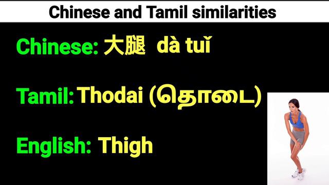 Similarities between Chinese and Tamil. смотреть онлайн