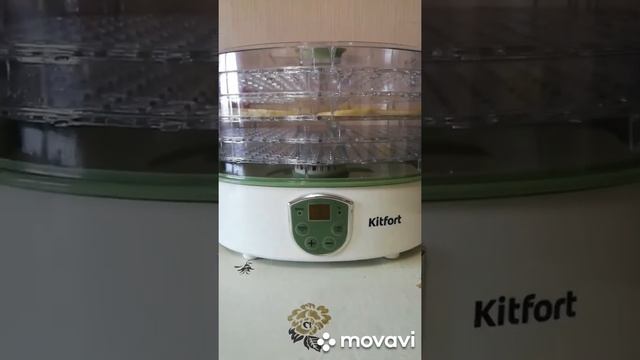 Сушилка для овощей и фруктов kitfort KT-1902 смотреть онлайн