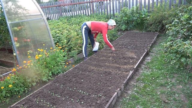 6 соток 28 июля 2021 год. На дачу. Хроника. смотреть онлайн