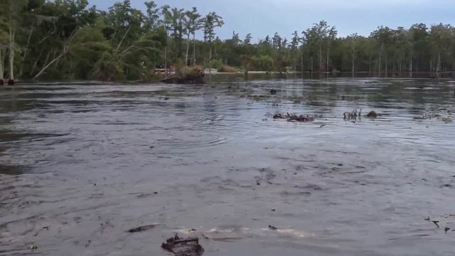 Карстовая воронка заглатывает деревья смотреть онлайн