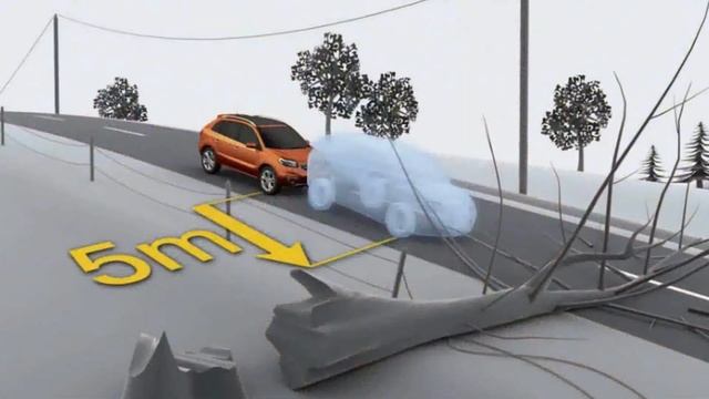 Когда менять резину - зимнюю на летнюю и наоборот? Штраф за резину не по сезону