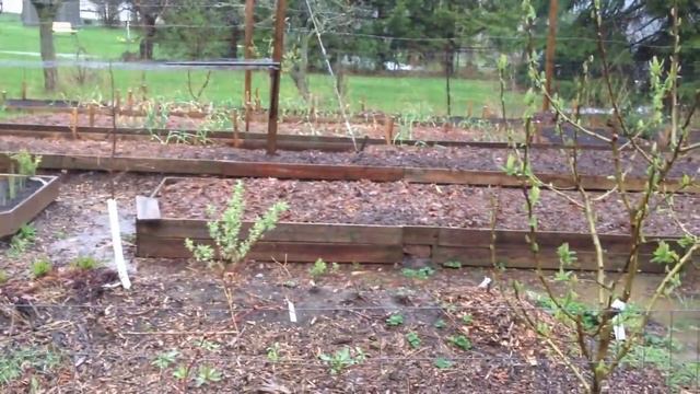 FLOOD OF 2017 UPDATE - ZONE 6b - SAINT CATHARINES - ONTARIO смотреть онлайн
