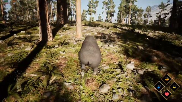 Wilderness Обзор геймплей