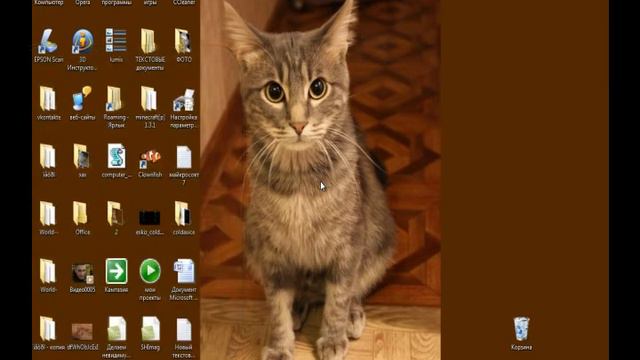 Что такое спам смотреть онлайн