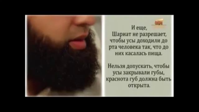 Абдулгафуров Мух|аммад про бороду истинные слова смотреть онлайн