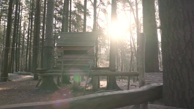 Многие ЖЕНЩИНЫ милые ТОЛЬКО СНАРУЖИ! МУЖЧИНА может ПОЛОЖИТЬСЯ только на СЕБЯ в ОТНОШЕНИЯХ смотреть онлайн