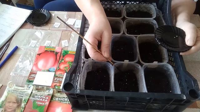 Посев томатов на рассаду. смотреть онлайн