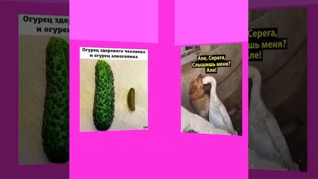 ? Нежная юморинка ? смотреть онлайн
