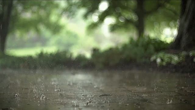 звуки дождя, музыка для сна, успокоение, релакс, как быстро заснуть смотреть онлайн