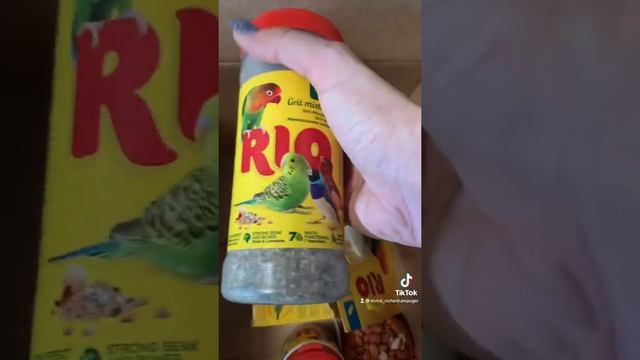 Ожереловый попугай Ричи подарки от RIO смотреть онлайн