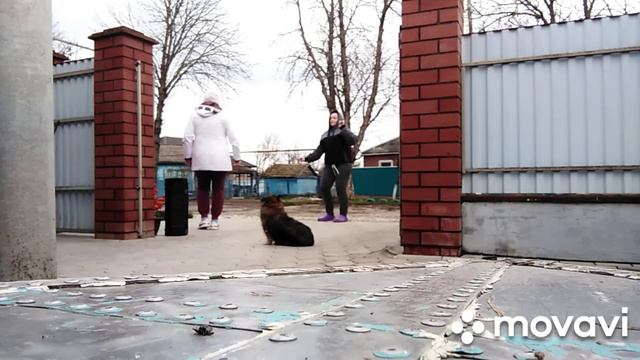 Как Рождество отмечали 🤗 смотреть онлайн